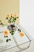 Pastill - Lulu sofabord krom/glas 100x100 cm - Sølvfarvet - Sofaborde ...