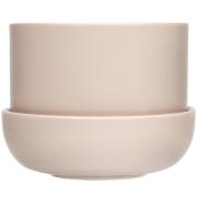 Iittala Nappula urtepotte med underskål 17 x13 cm, beige