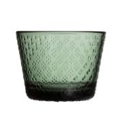 Iittala Tundra glas 16 cl, fyrretræsgrøn, 2 stk.