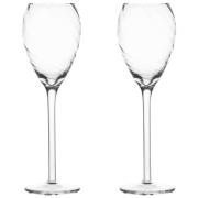 Byon Opacity champagneglas 16 cl, klar, 2-pack