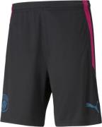 Puma Manchester City Træningsshorts S - Træningsshorts hos Magasin