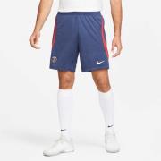 Nike Paris Saint Germain ike Dri Fit Shorts L - Træningsshorts hos Mag...