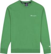 Champion Small Script Terry Cotton Sweatshirt XS - Sweatshirts Bomuld ...