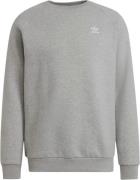 adidas Adicolor Essentials Trefoil Sweatshirt Mand Grey Sweatshirts St...