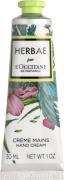 L'Occitane Herbae Hand Cream 30ml 30 ml - Håndcreme hos Magasin