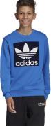 adidas Trefoil Crew Sweatshirt 140 - Sweatshirts & Hættetrøjer hos Mag...