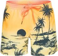 Quiksilver "Everyday Paradise Volley 15"" Badeshorts" L - Badetøj hos ...