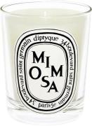 Diptyque Mimosa Scented Candle Kvindeduft 190 G - Duftlys hos Magasin