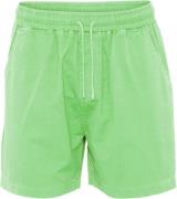 Colorful Standard Organic Twill Shorts Mand Spring Green Casual Shorts...