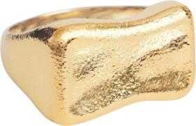 Camille Brinch Jewellery Small Rebel Signet Ring 56 - Ringe hos Magasi...