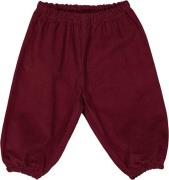 Müsli by Green Cotton Corduroy Flared Pants Baby Str 56 - Cabernet Buk...