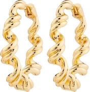 Pilgrim Larisa Earrings Goldplated one size - Creoler hos Magasin