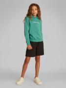 Calvin Klein Inst. Logo REG. Terry Hoodie Str 8 - Bahama Green Sweatsh...