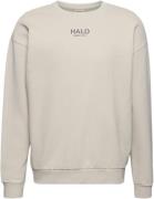 Newline HALO Halo Graphic Crew 02 Mand Silver Lining Sweatshirts Str L...