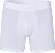 Bareen Cotton Boxers 3pack, Men L - Boxershorts hos Magasin