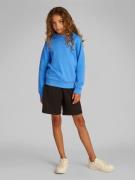 Calvin Klein Small Monogram Hoodie Str 10 - Mesmerizing Blue Sweatshir...